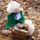 Illustration for article titled Little Dogs Make emAttack on Titan/em Cosplay Cuter